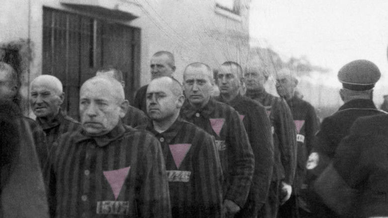 кадр из фильма El Triángulo Rosa y la cura Nazi para la Homosexualidad