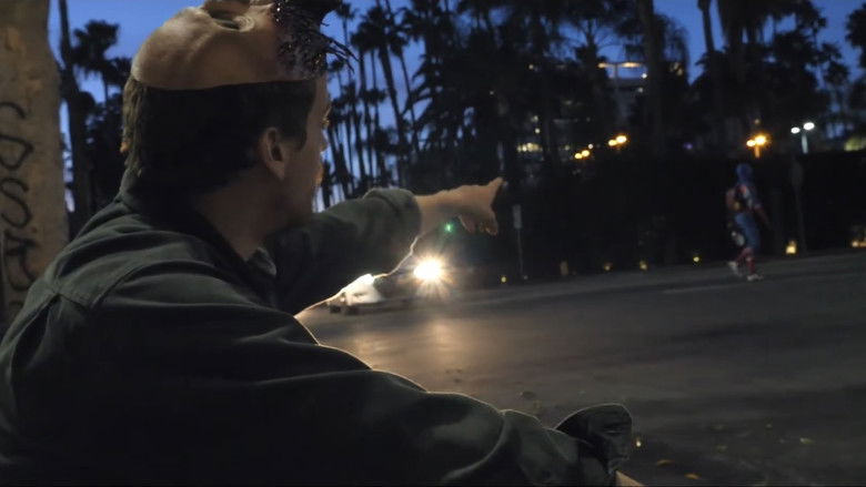 кадр из фильма SOME KIND OF ANIMAL: A Post Animal Documentary