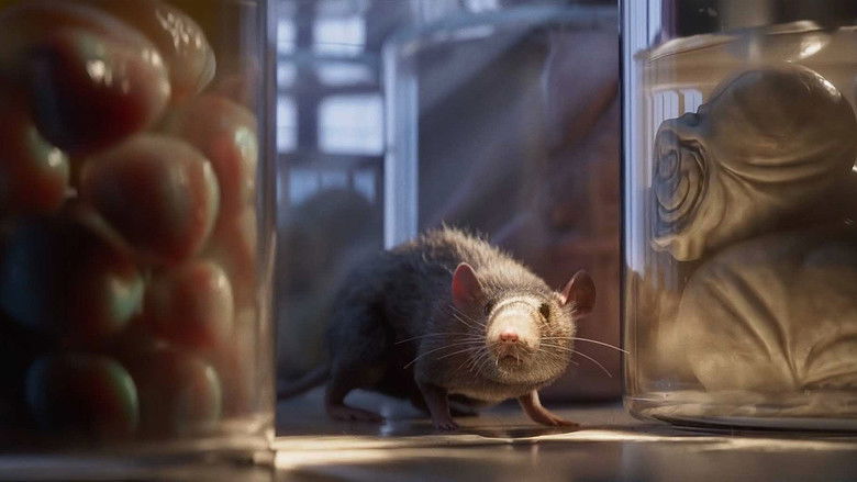 кадр из фильма Experiment