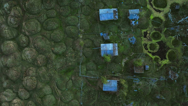 кадр из фильма Η ύβρις της ανθρωπότητας