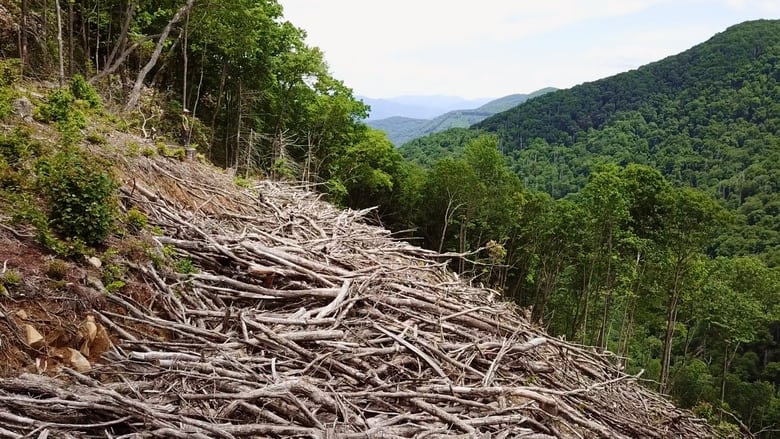 кадр из фильма The River Runs On