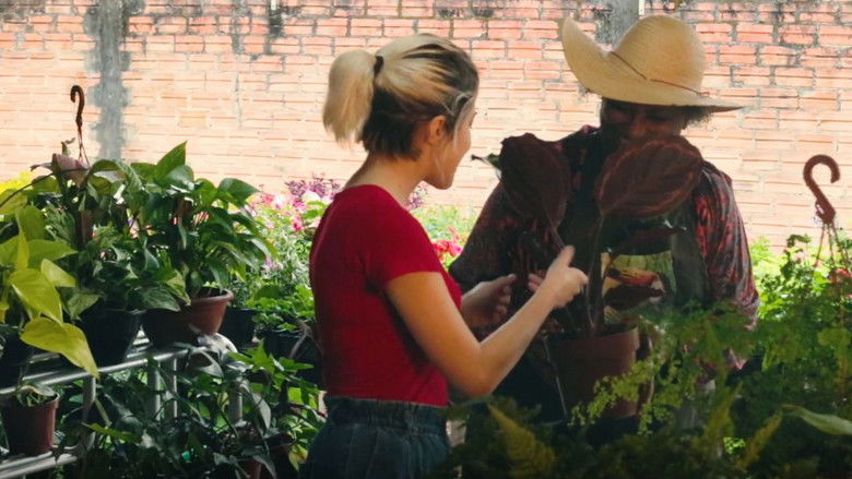 кадр из фильма Intercorrência