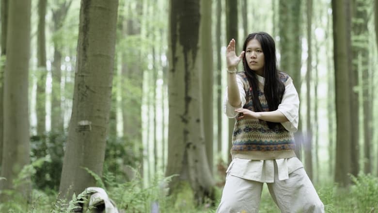 кадр из фильма The Nomadic Falcon