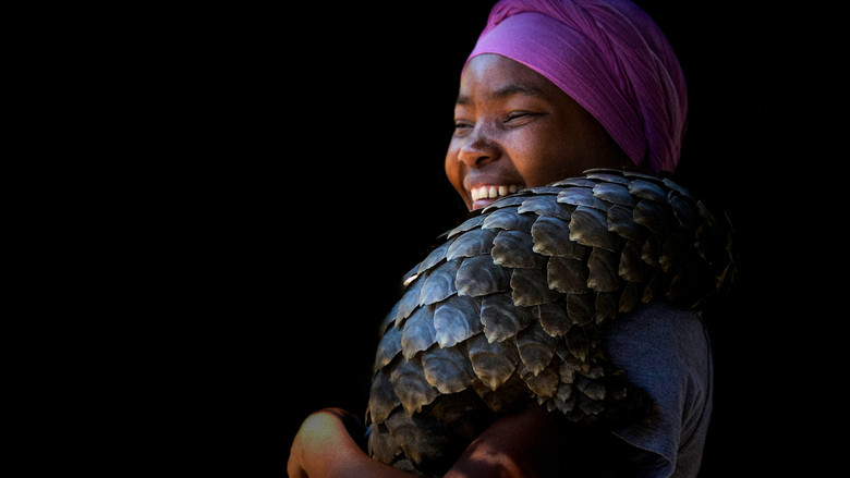 кадр из фильма Gorongosa: Paradise Reborn