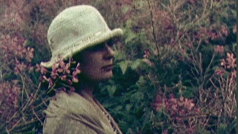 кадр из фильма Рождение Музыки