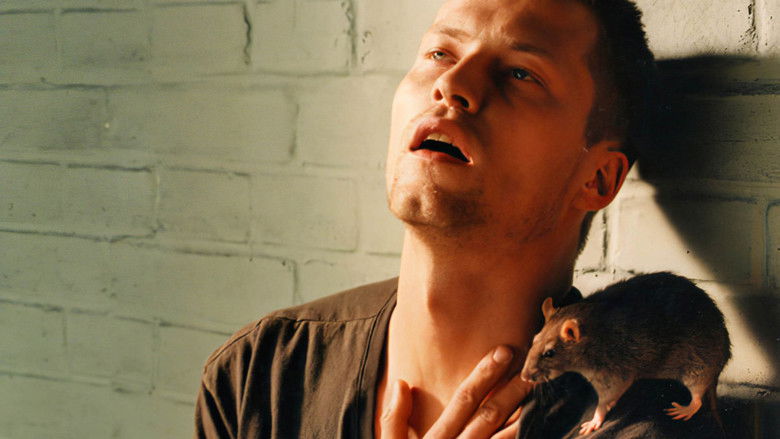 кадр из фильма Бандит