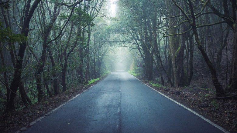 кадр из фильма Свистуны