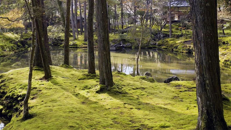 кадр из фильма Sa Majesté les mousses