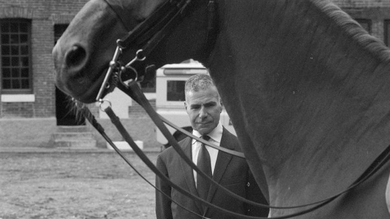 кадр из фильма Milady