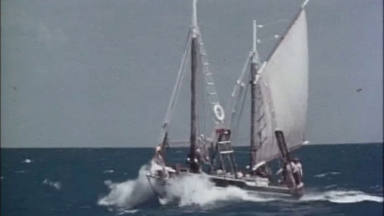 кадр из фильма Follow The Sun