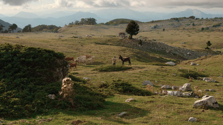 кадр из фильма Дыра