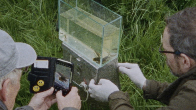 кадр из фильма Seen From Here, I Feel Like Belonging