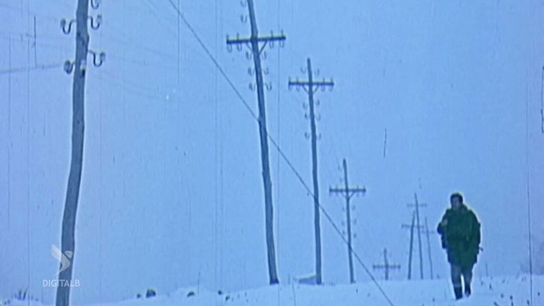 кадр из фильма Rrugë të bardha