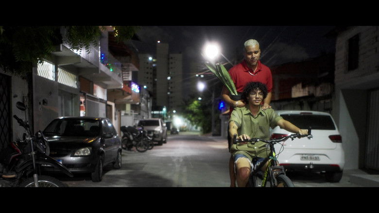 кадр из фильма Rebordosa