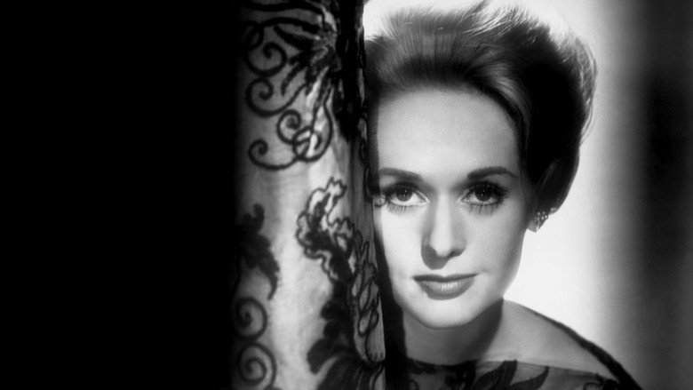 кадр из фильма Tippi Hedren und die wilden Tiere