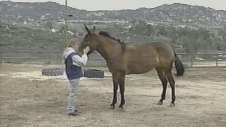 кадр из фильма The Psychic Connection