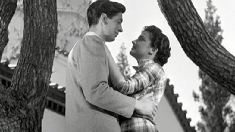 кадр из фильма Ο πύργος των ιπποτών