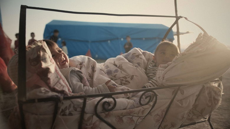 кадр из фильма Işığın Hasadı