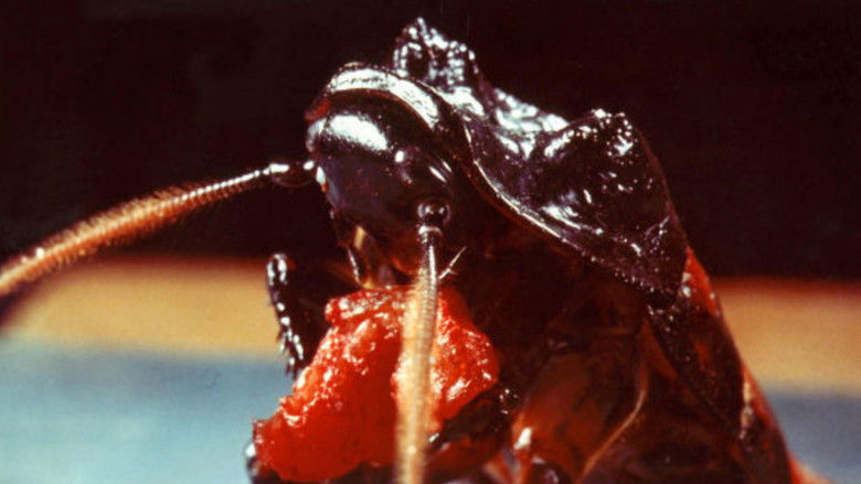 кадр из фильма Bug