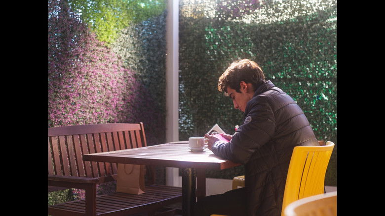 кадр из фильма Mi mejor amigo