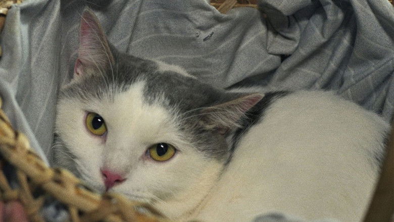 кадр из фильма Green Bones