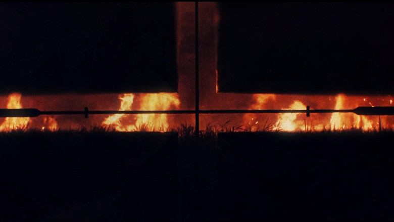 кадр из фильма TRUE DARKNESS: DETECTIVES