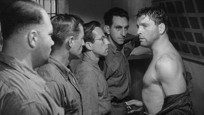 кадр из фильма Грубая сила