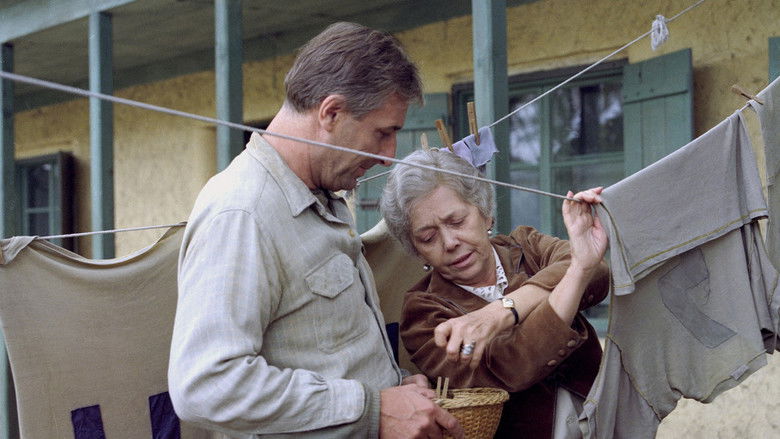 кадр из фильма Zámek v Čechách