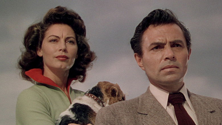 кадр из фильма Пандора и Летучий Голландец