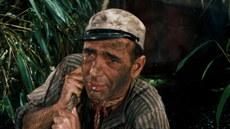 кадр из фильма Африканская королева