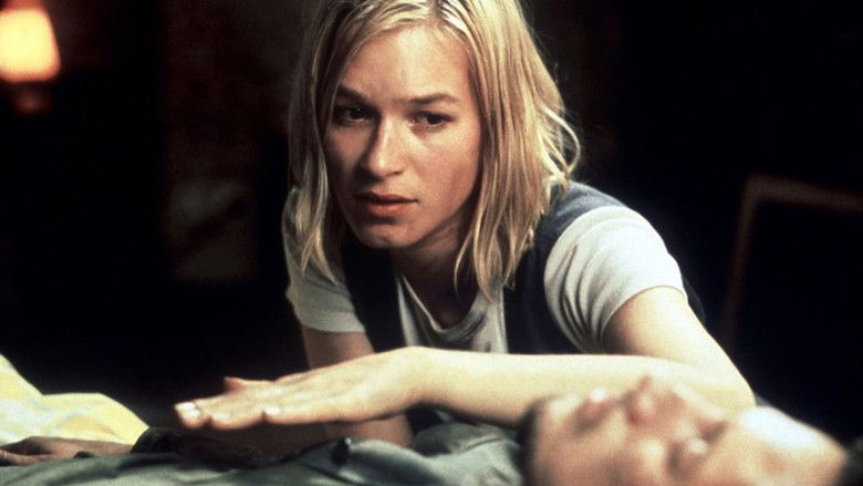 кадр из фильма Принцесса и воин