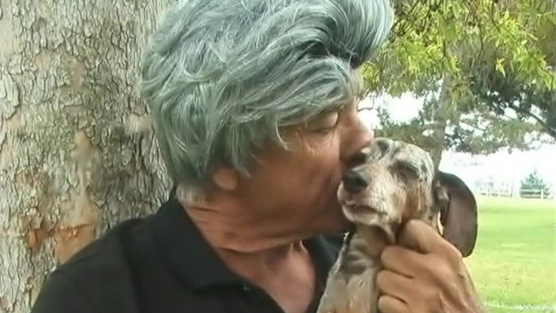 кадр из фильма Diary