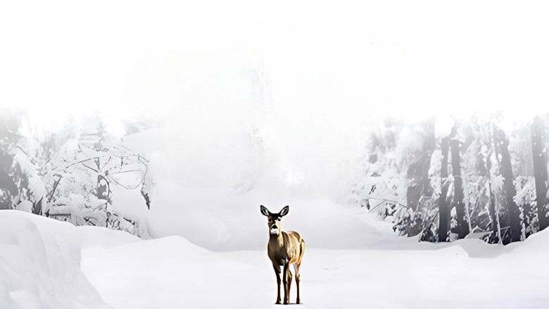 кадр из фильма Albany Road