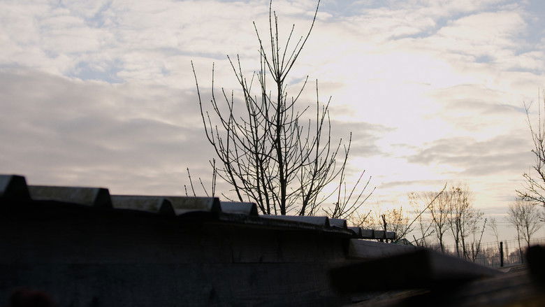 кадр из фильма En Opa