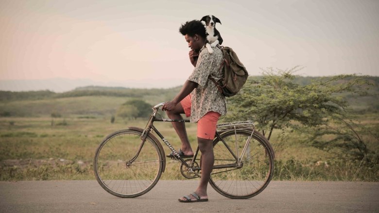 кадр из фильма Río seco