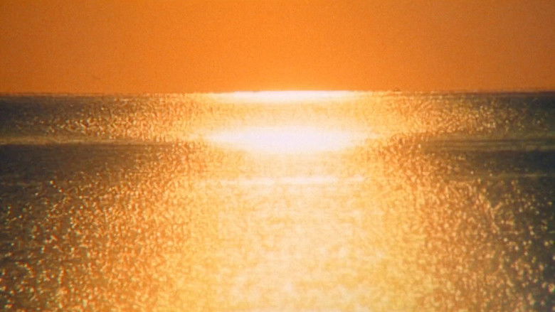 кадр из фильма La quimera de Yemayá