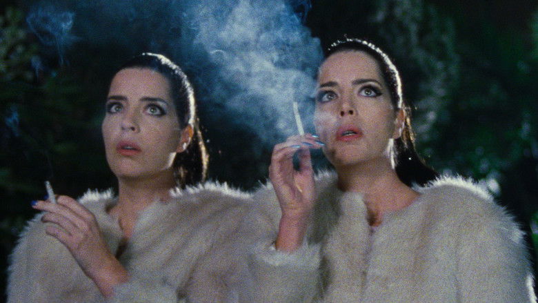 кадр из фильма Диамантино