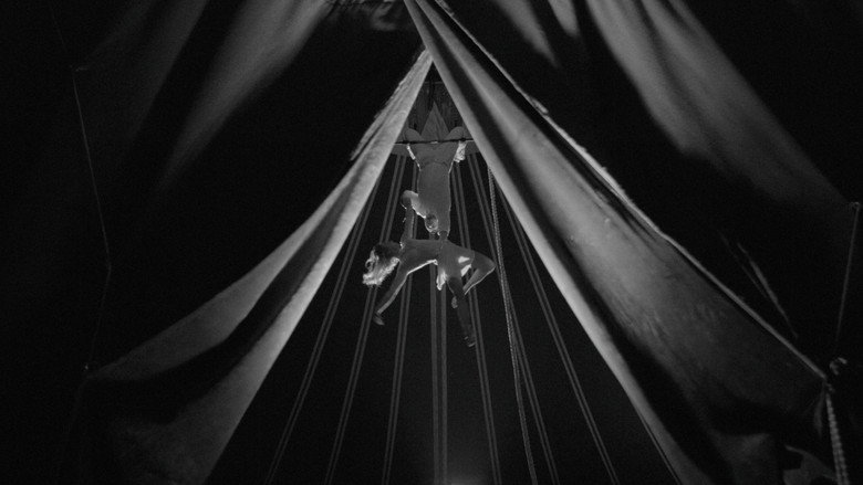 кадр из фильма Furioso