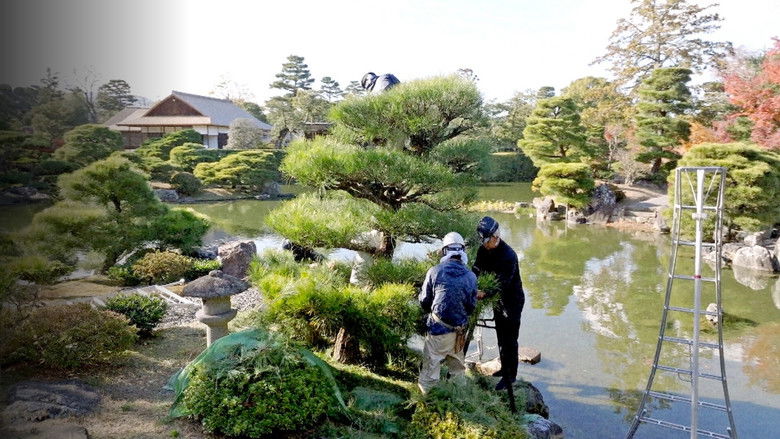 кадр из фильма Chasing Perfection: Four Seasons with Japan's Master Gardeners