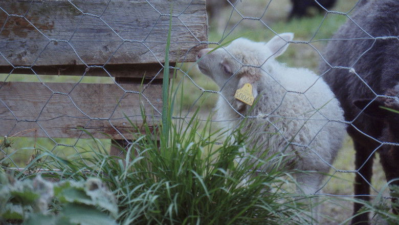 кадр из фильма Kopplam