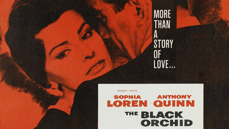 кадр из фильма Черная орхидея