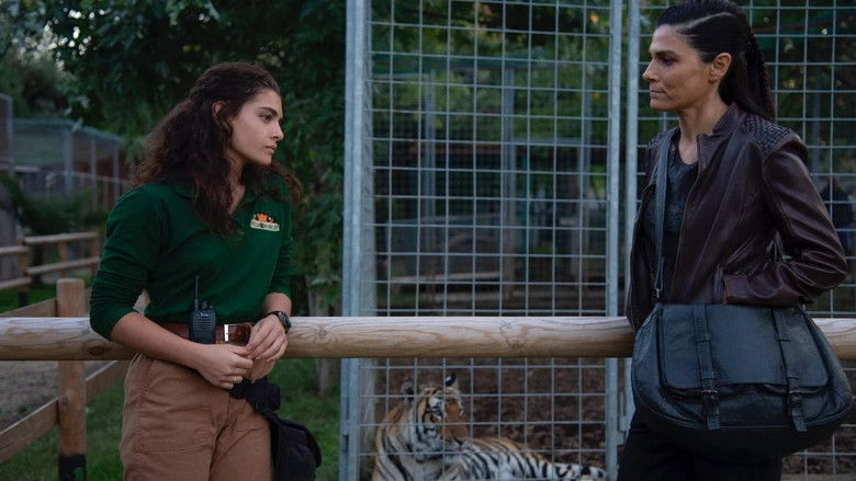 кадр из фильма The Cage - Nella gabbia