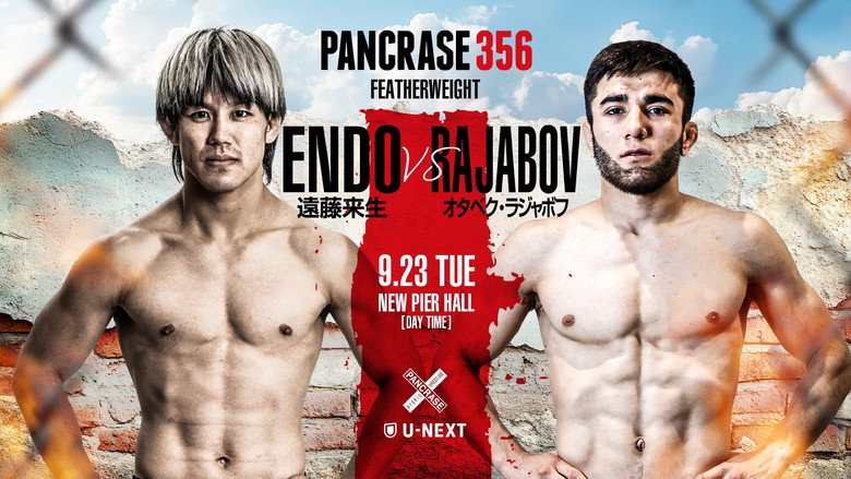 кадр из фильма PANCRASE 356