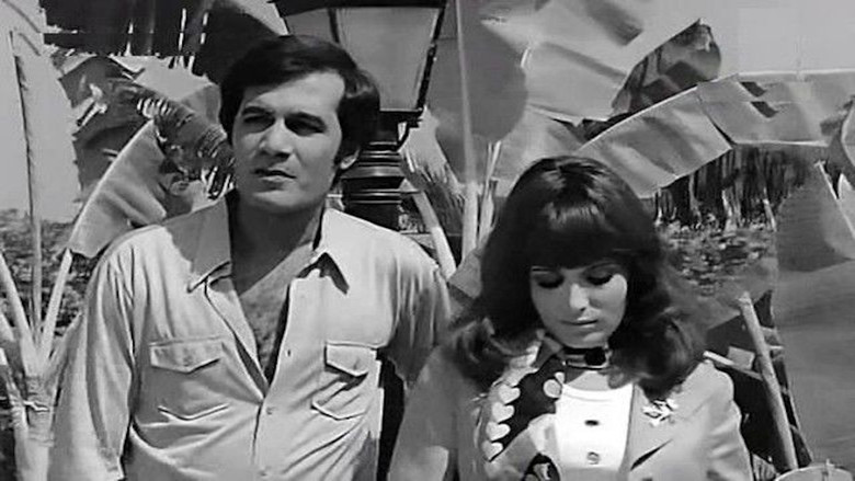 кадр из фильма امرأة من القاهرة