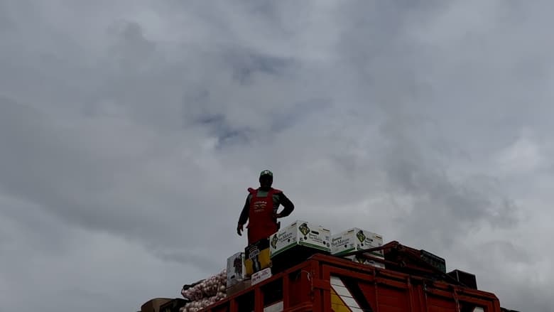 кадр из фильма Historias de vida en la carretera