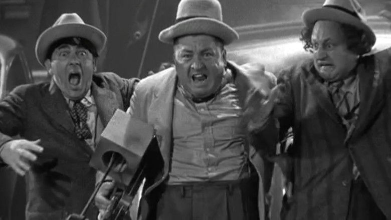 кадр из фильма Cactus Makes Perfect