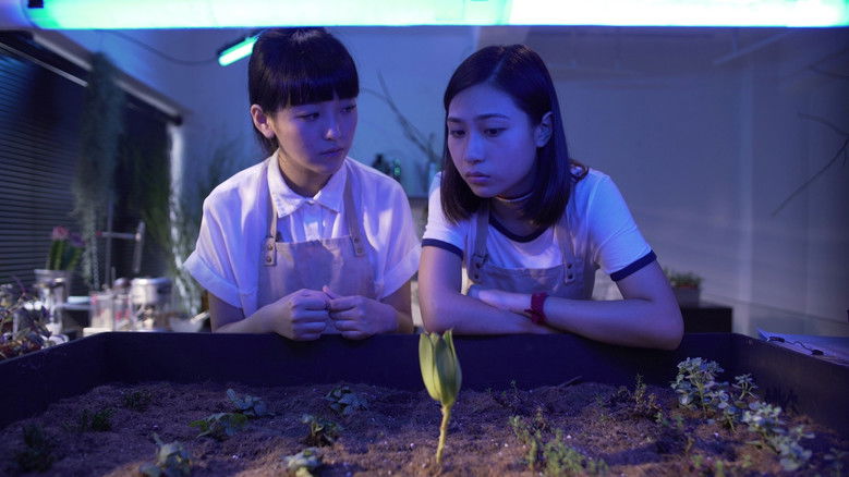 кадр из фильма Little Shop of Grotesque