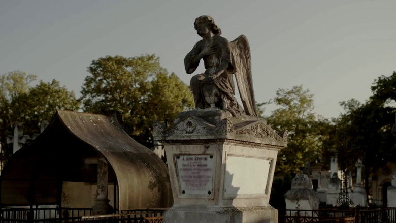 кадр из фильма Oscuro y Lucientes