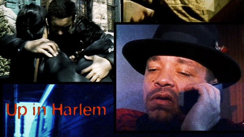 кадр из фильма Up in Harlem
