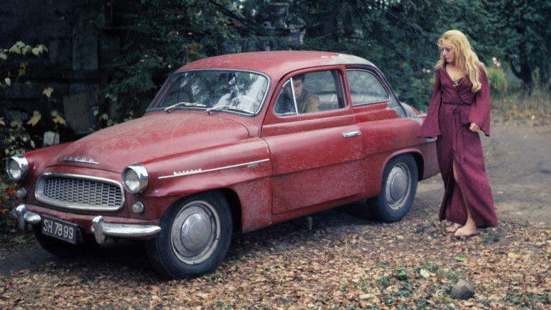 кадр из фильма Семейная жизнь